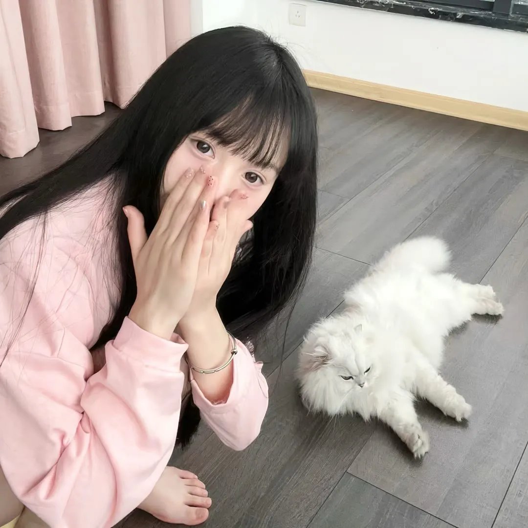 三五成群在线观看